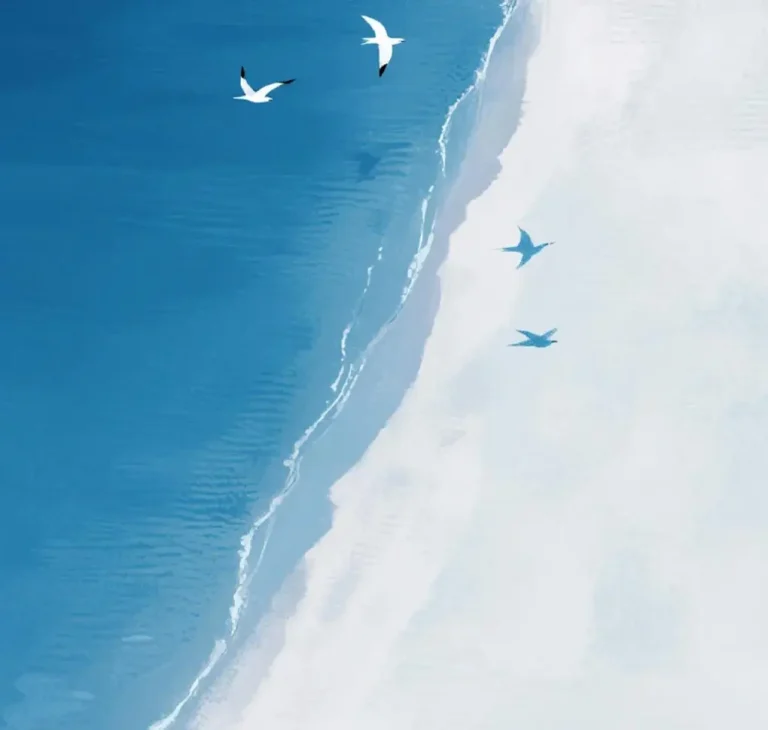 股权激励
